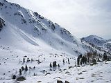Ski  Isola 2000