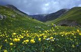Parc du Mercantour - Paysages