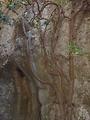 Gorges du Regalon