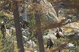 Rando au lac de Graveirette