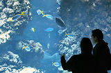Monaco, Aquarium
