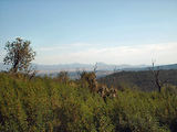 Les Maures en 4x4