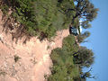 Les Maures en 4x4