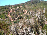 Les Maures en 4x4