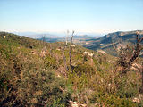Les Maures en 4x4
