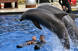 MarineLand Antibes
