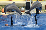 MarineLand Antibes