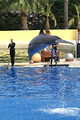 MarineLand Antibes