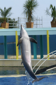 MarineLand Antibes