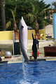 MarineLand Antibes