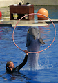 MarineLand Antibes
