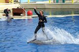 MarineLand Antibes
