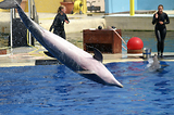 MarineLand Antibes