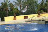 MarineLand Antibes