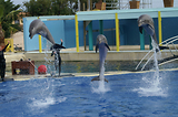 MarineLand Antibes