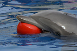 MarineLand Antibes