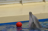 MarineLand Antibes