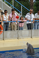 MarineLand Antibes