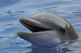 MarineLand Antibes