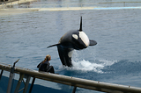 MarineLand Antibes