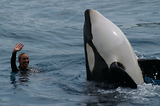 MarineLand Antibes
