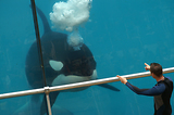 MarineLand Antibes