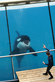 MarineLand Antibes