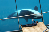 MarineLand Antibes