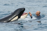MarineLand Antibes