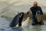 MarineLand Antibes
