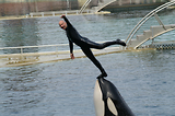 MarineLand Antibes