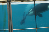 MarineLand Antibes