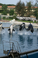 MarineLand Antibes