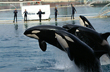 MarineLand Antibes