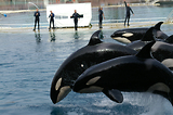 MarineLand Antibes