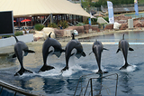 MarineLand Antibes