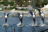 MarineLand Antibes