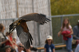 MarineLand Antibes
