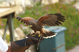 MarineLand Antibes