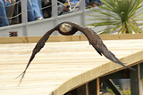 MarineLand Antibes