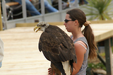 MarineLand Antibes