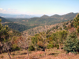 4x4 dans l'Esterel