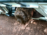 4x4 dans l'Esterel