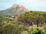 4x4 dans l'Esterel