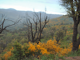4x4 dans l'Esterel