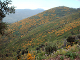 4x4 dans l'Esterel