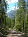 4x4 dans les Alpes