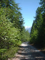 4x4 dans les Alpes