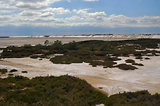 Escale en Camargue