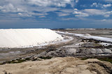 Escale en Camargue
